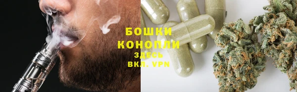 прущий лед Новозыбков