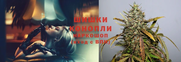 шишки Нея
