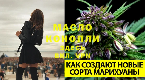 гидра Тольятти