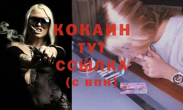 шишки Нея