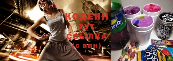 прущий лед Новозыбков