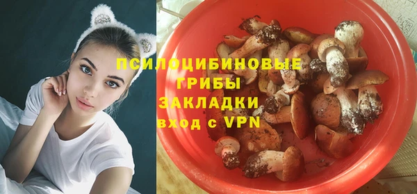 прущий лед Новозыбков