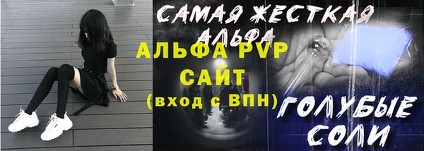 прущий лед Новозыбков