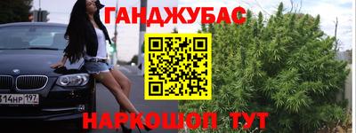 шишки Аргун