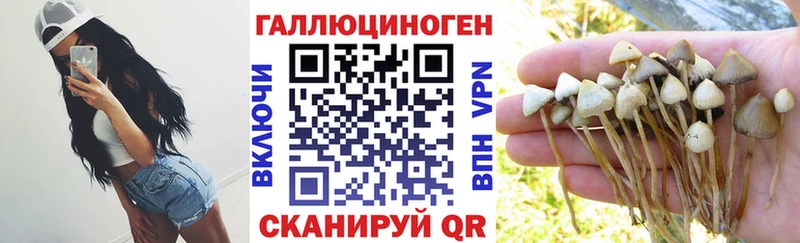 Псилоцибиновые грибы MAGIC MUSHROOMS  Волгоград 