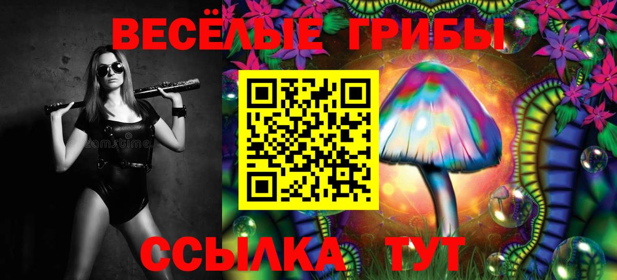 Псилоцибиновые грибы Cubensis Волгоград