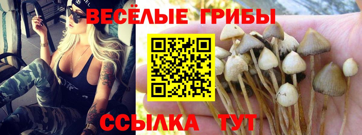 Волгоград  Канабис  Вход с VPN  Мефедрон   Cocaine 