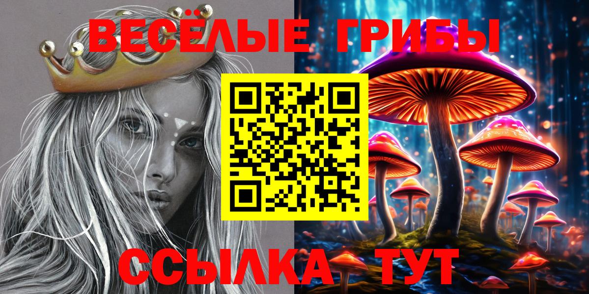Галлюциногенные грибы мухоморы  Псилоцибиновые грибы Magic Shrooms  Вход с VPN  Волгоград 